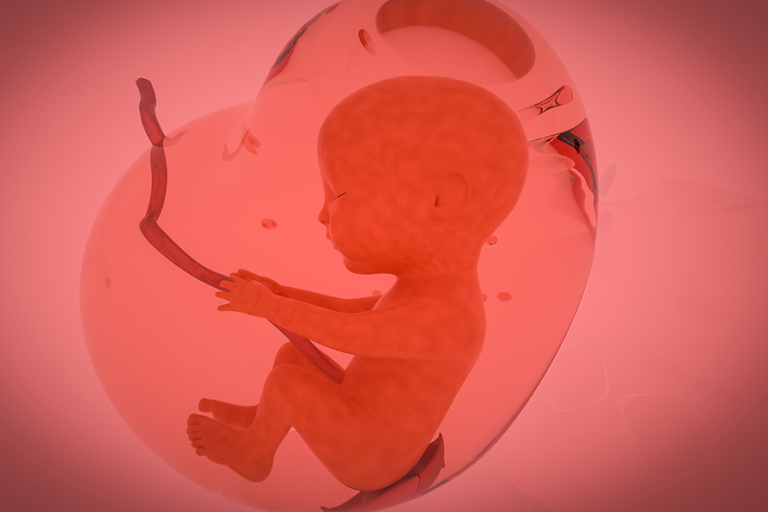 1667888387-企业微信截图_16678883558772