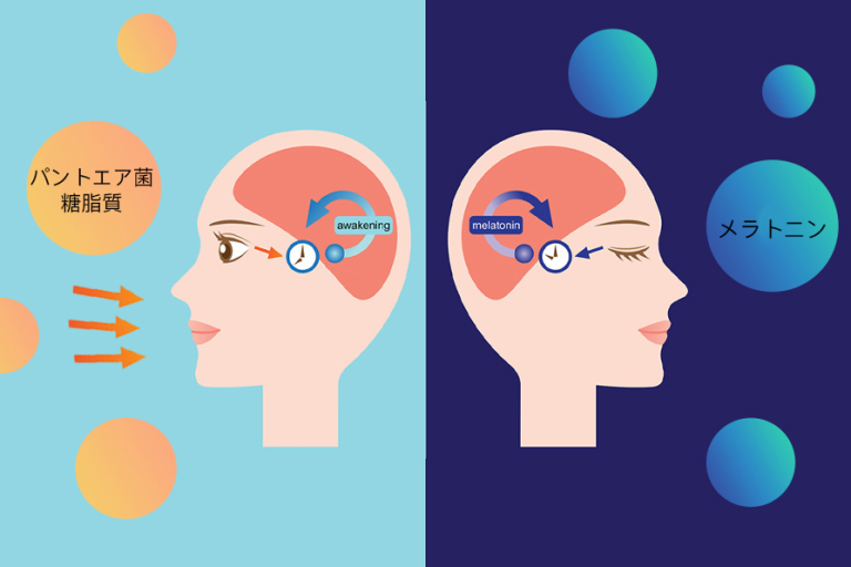 1667985707-企业微信截图_16679855849263