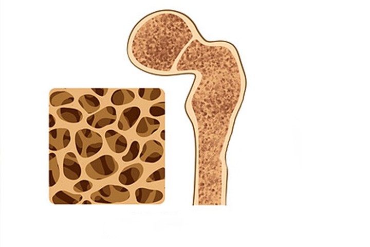 1668593880-311781163_1215870719144589_3506894941480055356_n