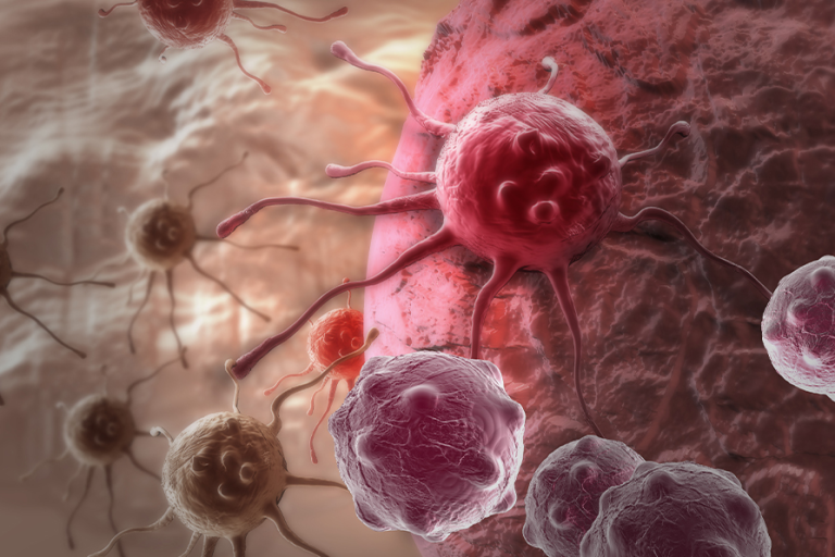 体にとって最も重要な２つ抗がんの年齢層